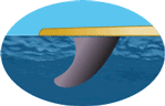 Speed Fins